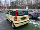Fiat Panda 1.2 8V Dynamic TÜV NEU - Fiat Panda: Gelb