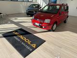 Fiat Panda 1.3 MJT 16V DPF Emotion - Fiat Panda Emotion mit Diesel-Antrieb
