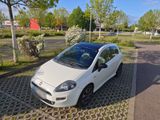 Fiat Punto Klima 1.2 Top Zustand! - Fiat Punto in Halle