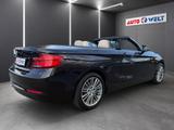 BMW 218i Cabrio Luxury Line LED Navi Tempomat Sitzhe - BMW Gebrauchtwagen in Halle