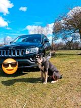 Jeep compass - gebrauchte Jeep Compass aus dem Jahr 2013