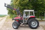 Massey Ferguson MF342-2+Allrad+Frontlader - Massey Ferguson Schlepper