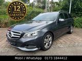 Mercedes-Benz E 250 CGI T-BlueEf-SHD-Standheizung-AHK-Tüv03.26 - Mercedes-Benz E 250 aus 2014