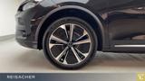 BYD Tang Pano,Leder,Autom - BYD TANG Neuwagen