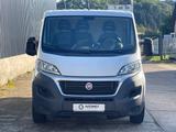 Fiat Ducato*Kasten*50000km*1-Hand*Checkheftgepflegt - Fiat Ducato Gebrauchtwagen in Berlin