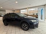 Subaru XV 1.6i Comfort Allrad Autom. DAB SHZ Kamera Kli - Subaru XV Gebrauchtwagen