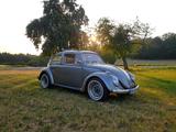 Volkswagen Käfer Faltdach 1600 teilrestauriert - Volkswagen Käfer: Faltdach