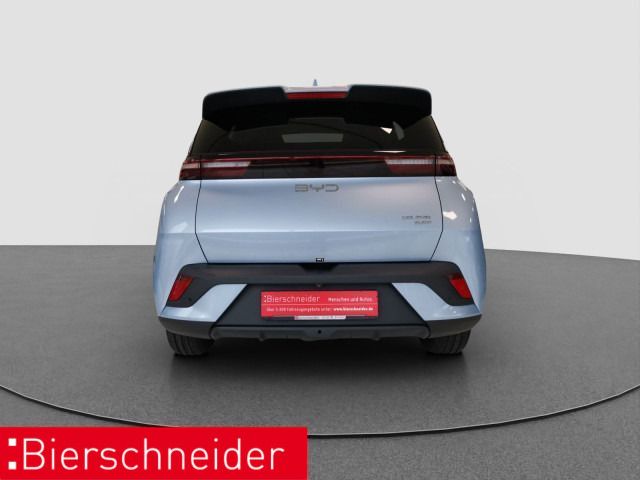 BYD DOLPHIN SURF