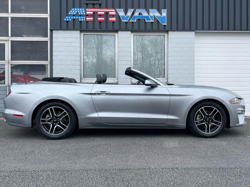 Fahrzeugabbildung Ford Mustang Cabrio 2.3 Premium Paket Leder 10-Gang