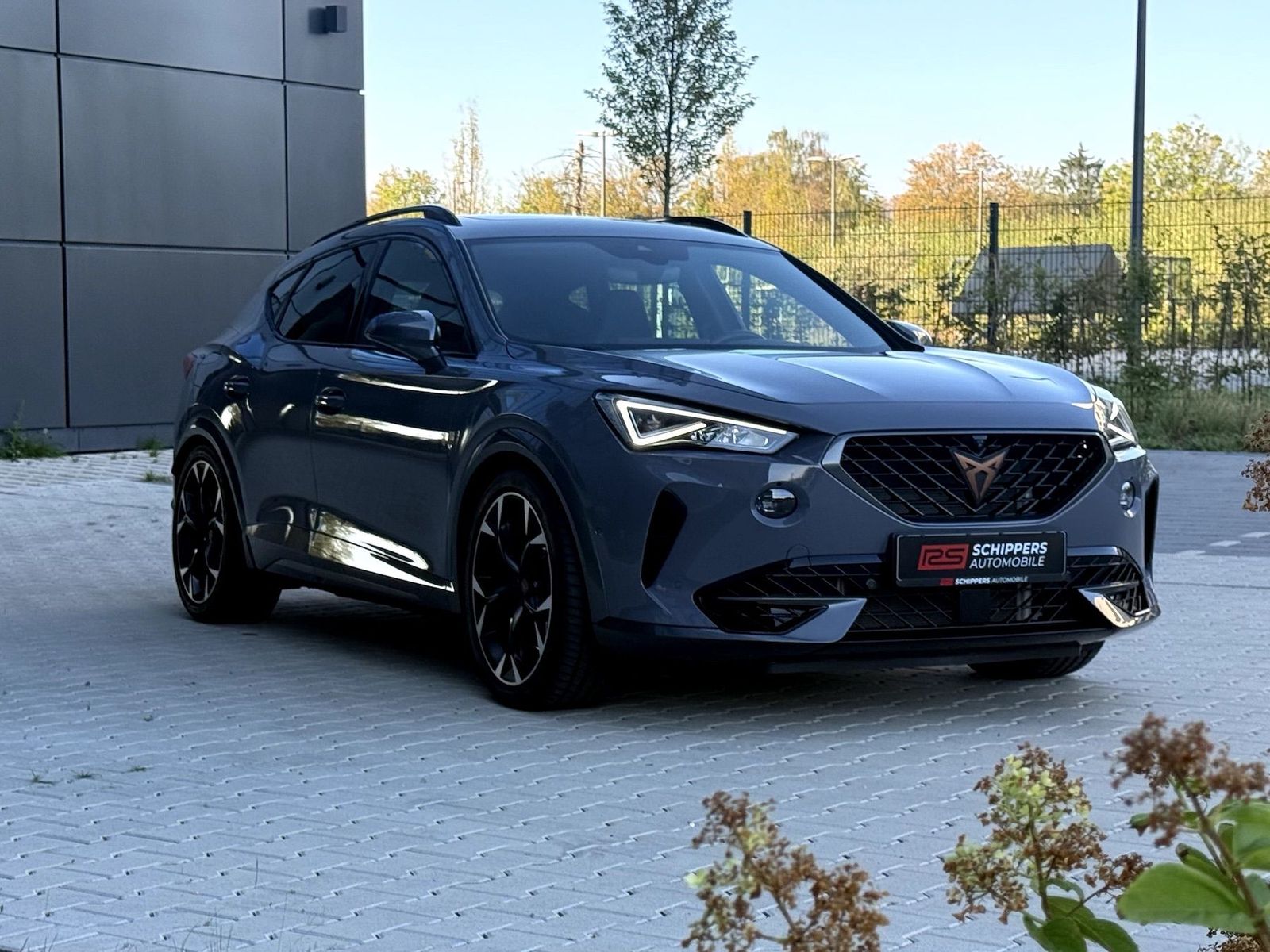 Fahrzeugabbildung CUPRA Formentor VZ 2.0 TSI DSG 4Drive 360°|PANO|KW V3