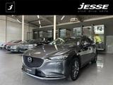Mazda 6 SKYACTIV-G 165 Drive Center-Line LED HUD 360* - Mazda 6 aus 2023