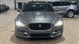 Jaguar XF R-Sport - graue Jaguar XF