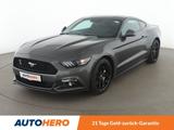 Ford Mustang 2.3 EcoBoost Basis *CAM*SHZ*TEMPO*ALU* - Ford Mustang Gebrauchtwagen in Stuttgart