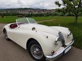 Jaguar XK 140 OTS - Overdrive - Jaguar XK aus 1955