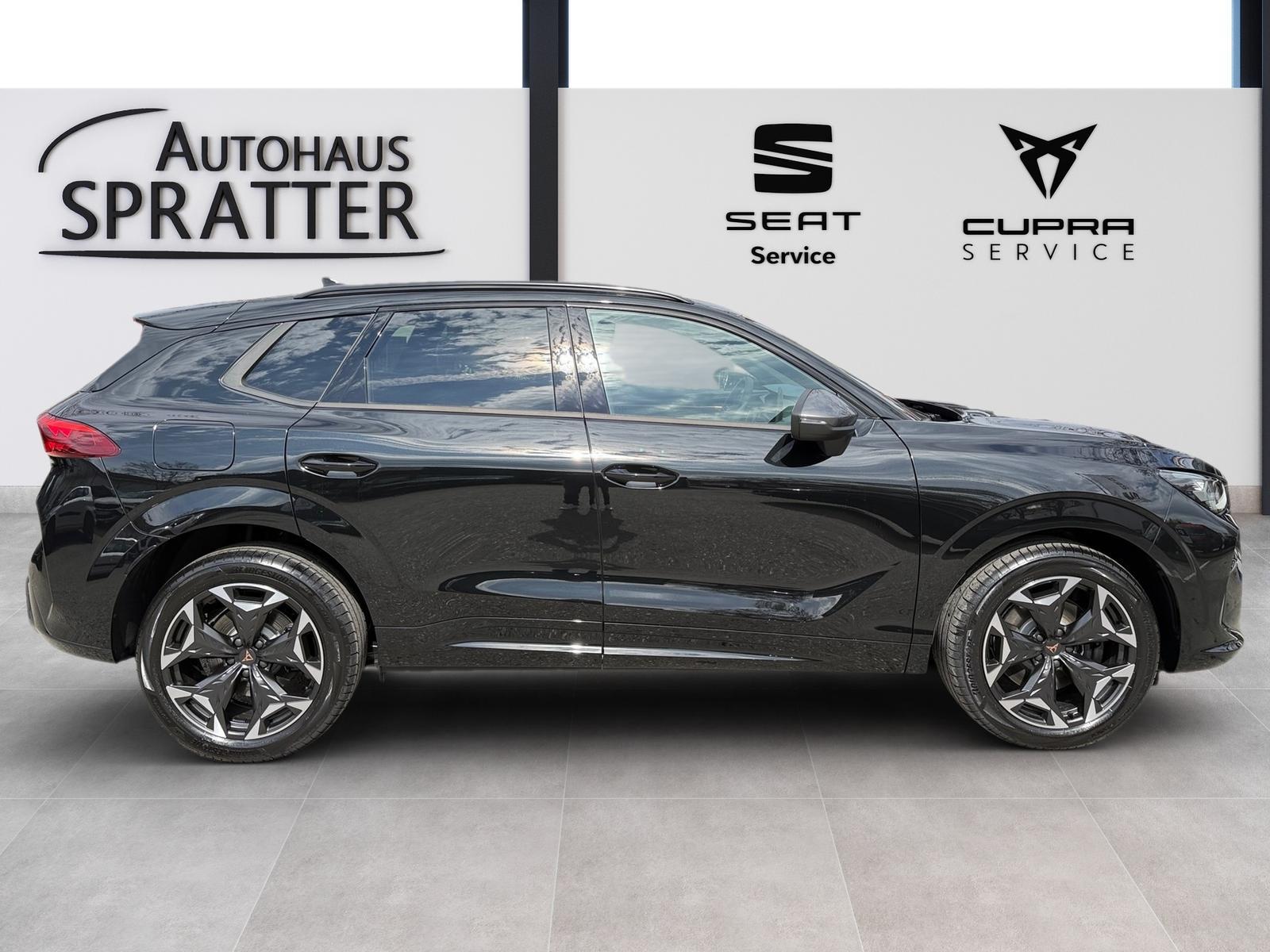 Cupra Terramar VZ 2.0 TSI 4Drive DSG AHK ACC Kamera, миниатюра 23
