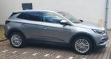 Opel Grandland (X) 2.0 Diesel 130kW Innovation Au... - Opel Grandland (X) von privat