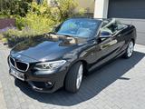 BMW *reserviert* 228i Cabrio Aut, Xe, Teilleder, AHK - BMW 228 mit 3 Türen
