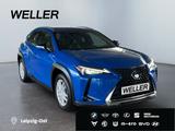 Lexus UX 250h Launch Edition *Bi-LED*ACC*CAM*SHZ*Navi* - Lexus UX aus 2019
