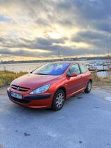 Peugeot 307 Platinium 110 Platinium - rote Peugeot 307