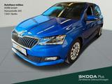 Skoda Fabia 1.0 TSI *DSG*ACC*LED*APP*RFK*NAV* - Skoda Fabia Gebrauchtwagen in Münster