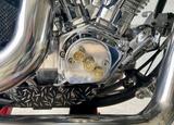 Harley-Davidson Softtail - HARLEY-DAVIDSON 1989
