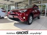 Toyota RAV 4 Team D Hybrid AWD LED El. Heckklappe Mehrz - Toyota RAV 4: 4d