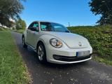 Volkswagen VW New Beetle Käfer 2,0TDI Top Zustand  - Volkswagen New Beetle in Dortmund