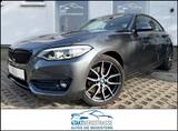 BMW 220i Coupé AUT Sport-Line Leder Navi HiFi 18"