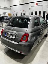 Fiat 500 ELLENATOR Hybrid Dolce Vita - Fiat 500 Ellenator Gebrauchtwagen