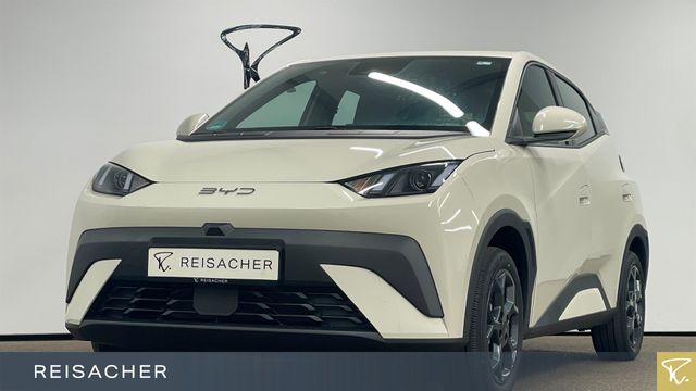 BYD DOLPHIN SURF