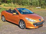 Peugeot 307 CC // TÜV NEU // LEDER // SITZHEIZUNG - Peugeot 307: Sitz