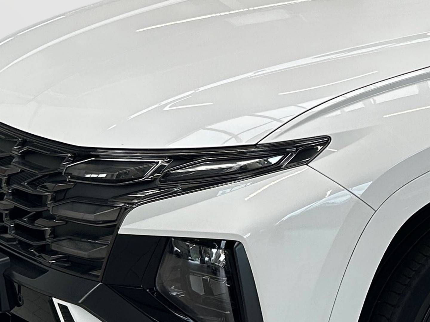 Fahrzeugabbildung Hyundai TUCSON HEV N Line Krell Sound System
