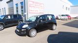 Fiat Panda Easy 1,2 69 PS 5-Sitzer Schwarz - Fiat Panda: Sitzer