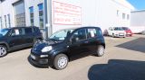 Fiat Panda Easy 1,2 69 PS 5-Sitzer Schwarz - Fiat Panda aus 2018