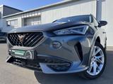 Cupra Formentor 2.0 TDI DSG 4Drive 181€ m.20% Anz. el.
