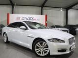 Jaguar XJ 3.0 D V6 PREMIUM-LUXURY WHITE&BLACK PANORAMA - Jaguar mit Diesel-Antrieb