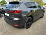Mazda CX-60 2026 3.3L e-SKYACTIV D HOMURA - Mazda Gebrauchtwagen in Köln