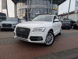 Audi Q5 Sport Edition PANO. NAVI. AHK. 4x4. S-LINE - Audi Q5 in Mainz