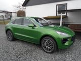Porsche Macan Turbo, 2.9 l, LED, Alu 21 Zoll - Porsche: Grün