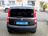 Fiat Panda 1.1 8V Active Allwetterreifen Klima TÜV ne - gebrauchte Fiat Panda aus dem Jahr 2010