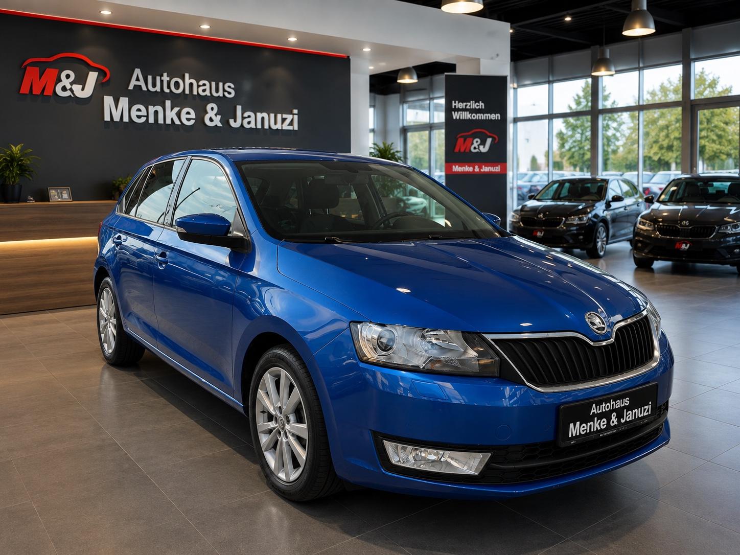 Skoda Rapid Spaceback Joy Edition/XENON/SHZ/PDC/TEMPOM