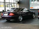 Mercedes-Benz Mercedes W215 Cl500 Lorinser, MAE 20 ZOLL,... - Mercedes-Benz CL 500 mit LPG-Antrieb