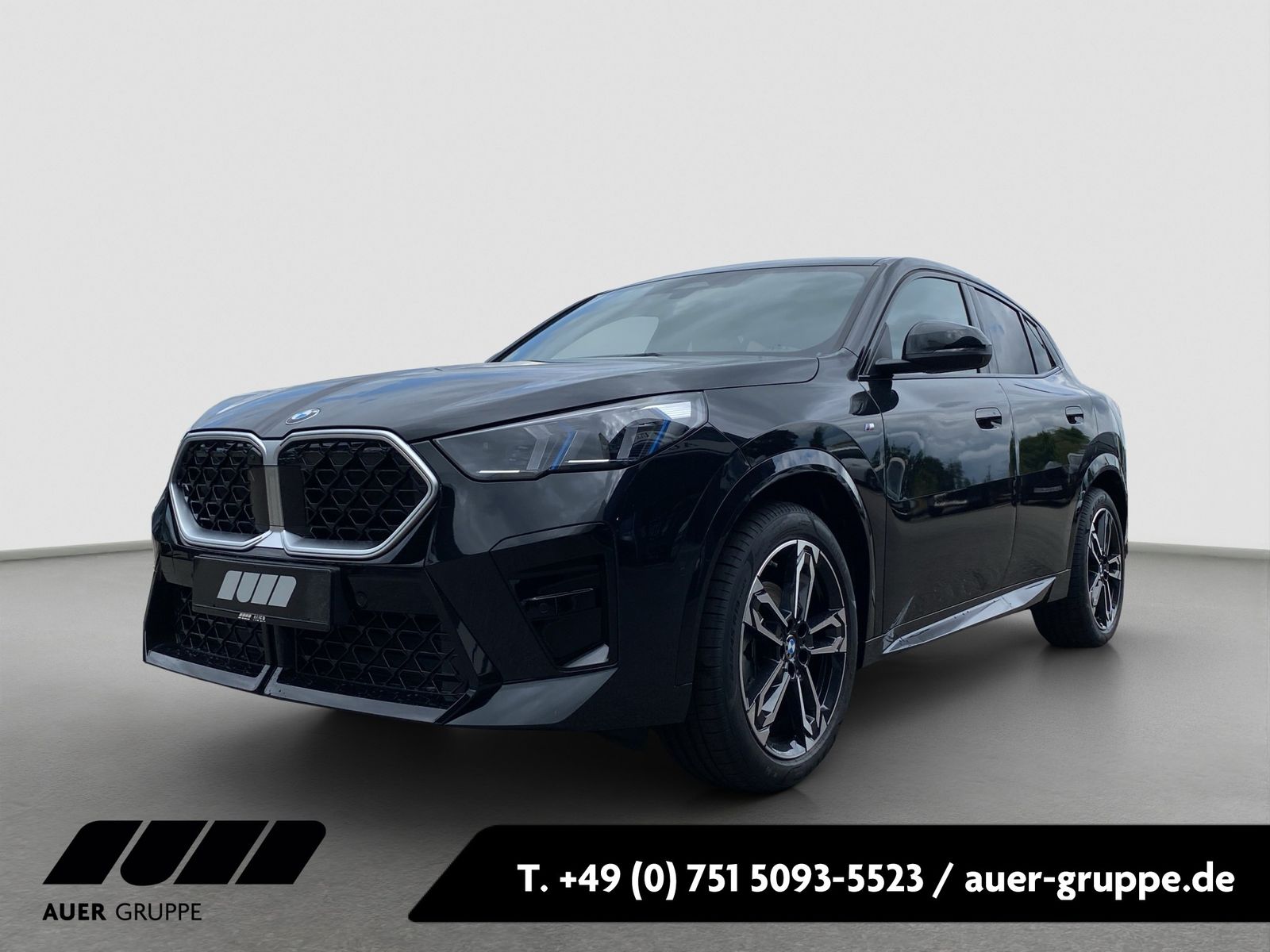 BMW X2 xDrive20d (M-Sport Navi LED AHK HUD Shz PDC)