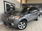 Ford Kuga Business Edition AWD/Automatik/Navi/Sitzhz. - Ford Kuga: Business Edition