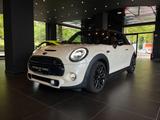MINI Cooper S Cabrio Chili*Head-Up*Leder*LED*ACC - MINI Cooper S Cabrio