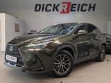 Lexus NX 350h Business Leder SHZ Kamera Navi LED ACC - Lexus NX 350h mit Hybrid-Antrieb