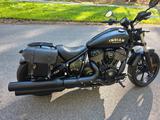 Indian Chief Dark Horse