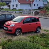 Fiat Panda - Fiat Panda in Kiel