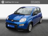 Fiat Panda 1.0 GSE Hybrid Radio/Tempomat/PDC - Fiat Panda: Kombi