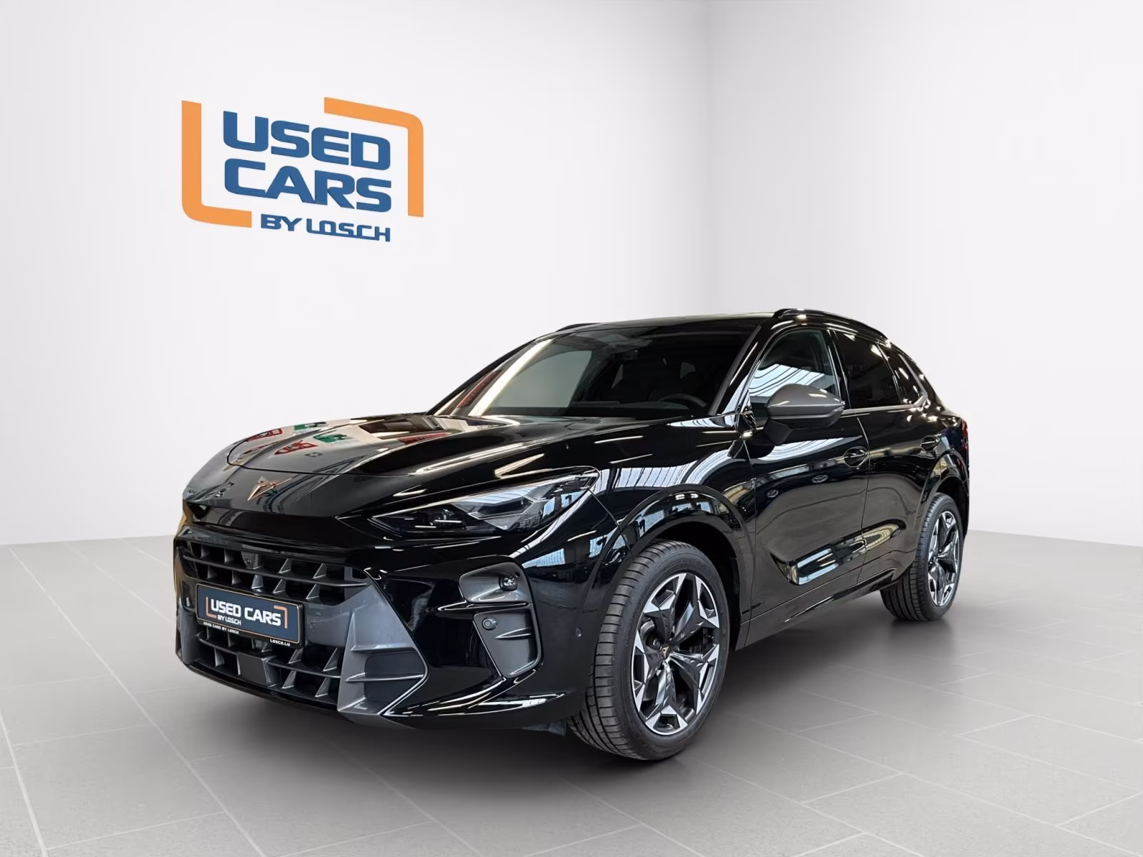 Cupra TerramarDSG+4 Drive+immersive-Sennheiser+AHK+Pan
